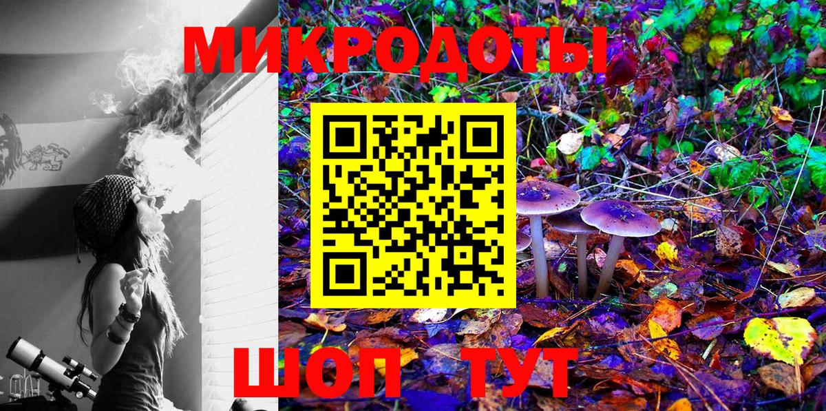 Камышлов  Псилоцибиновые грибы ЛСД  Вход с VPN  Псилоцибиновые грибы Magic Shrooms 