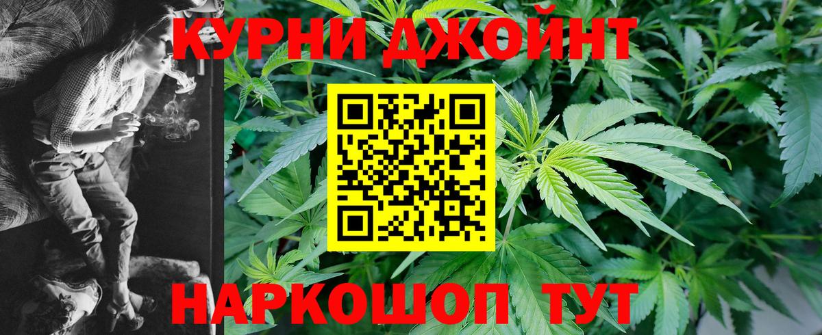МАРИХУАНА планчик  Вход с VPN  Камышлов  Каннабис индика 
